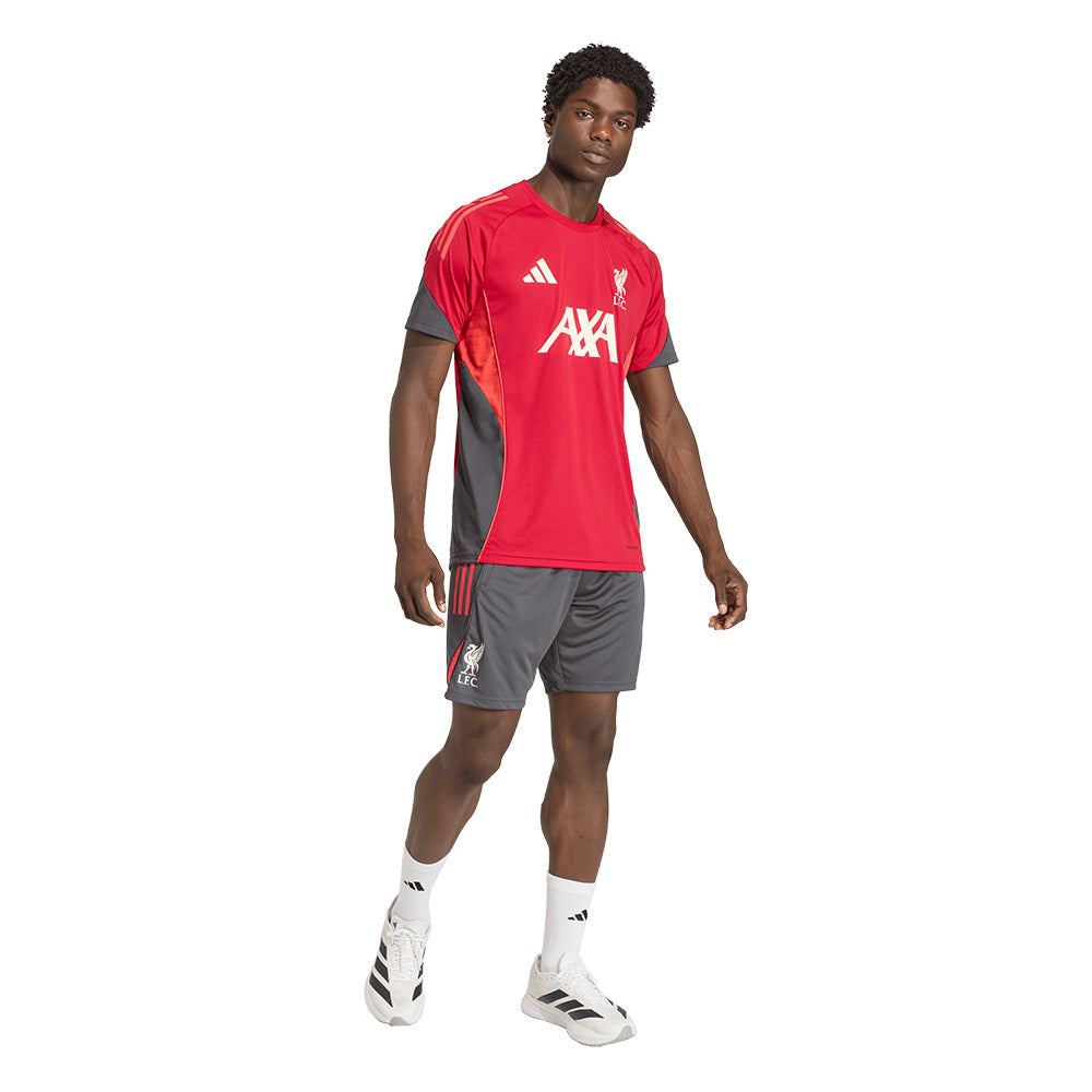 ADIDAS Liverpool FC Tiro 2025 Competition Training Men's Football Shorts - Supersports Thailand