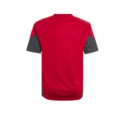 ADIDAS Liverpool FC Tiro 25 Competition Training Kids Football Jersey - Supersports Thailand