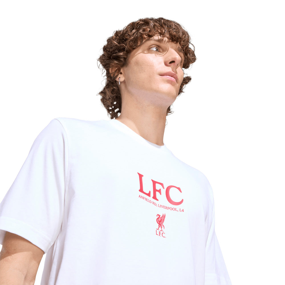 ADIDAS Liverpool FC Seasonal Graphic Men's T-Shirt - Supersports Thailand Supersports Thailand