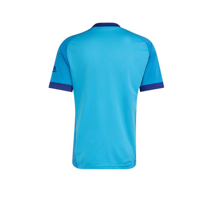 ADIDAS Men's Arsenal FC Away 2026/27 Goalkeeper Jersey - Supersports Thailand