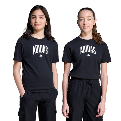 ADIDAS Collegiate Graphic Kids T-Shirt - Supersports Thailand