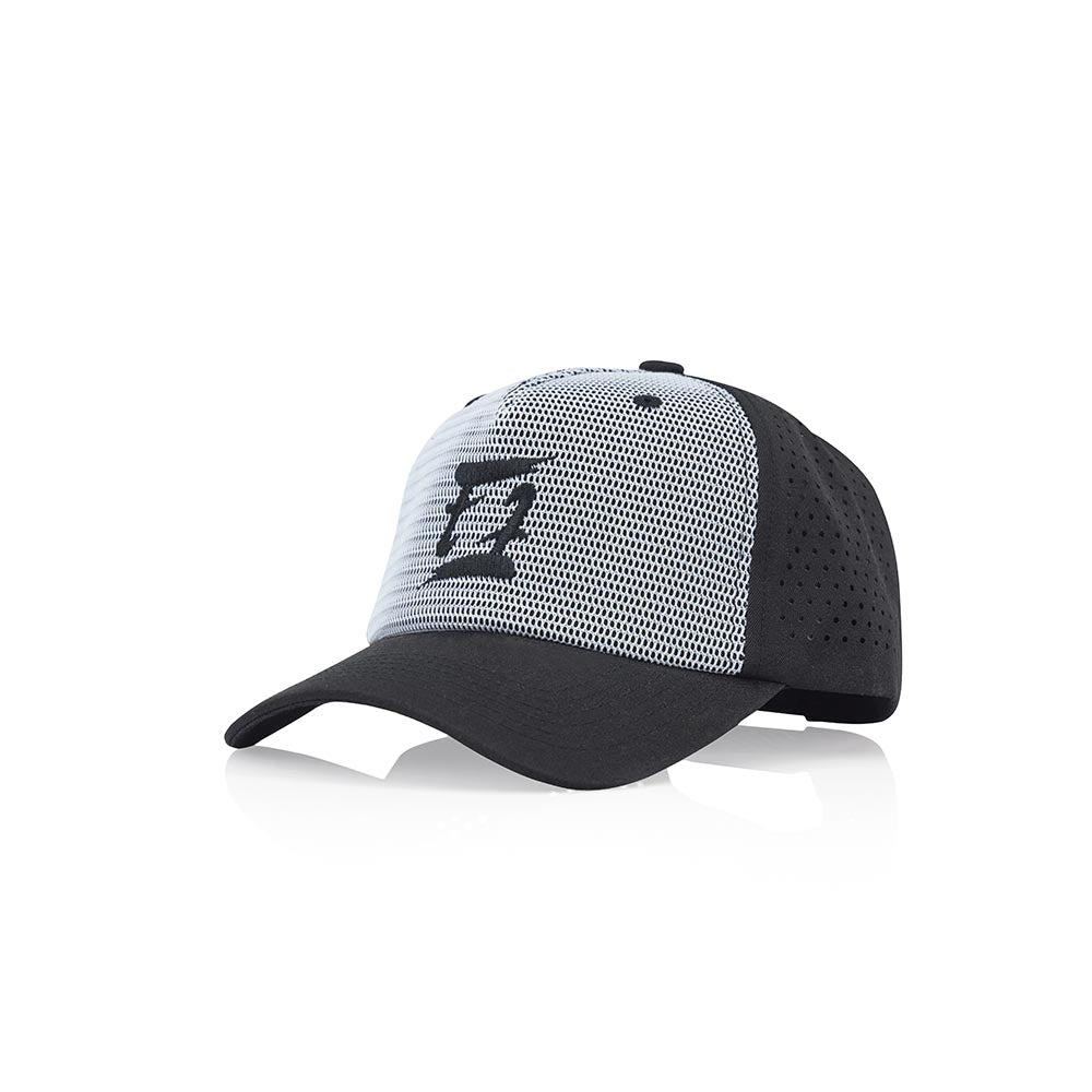 CAP15-1.jpg