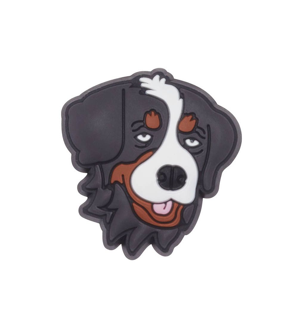 CROCS Jibbitz Bernese Mountain Dog Shoe Charms - Supersports Thailand Supersports Thailand