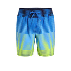 FIREFLY Lario Stripe Shaded Men's Watershorts - Supersports Thailand