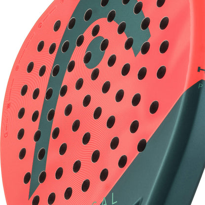 HEAD Radical Team 2026 Padel Racket - Supersports Thailand