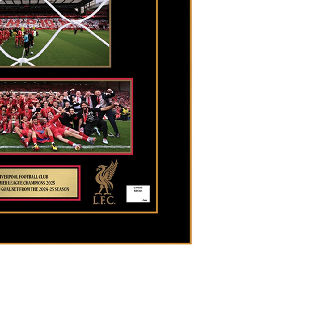 LFC Premier League Goal Net Framed - Supersports Thailand