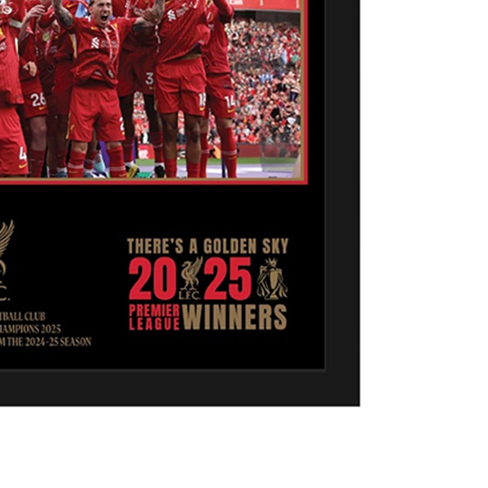 LFC Premier League Goal Net Piece Framed - Supersports Thailand Supersports Thailand