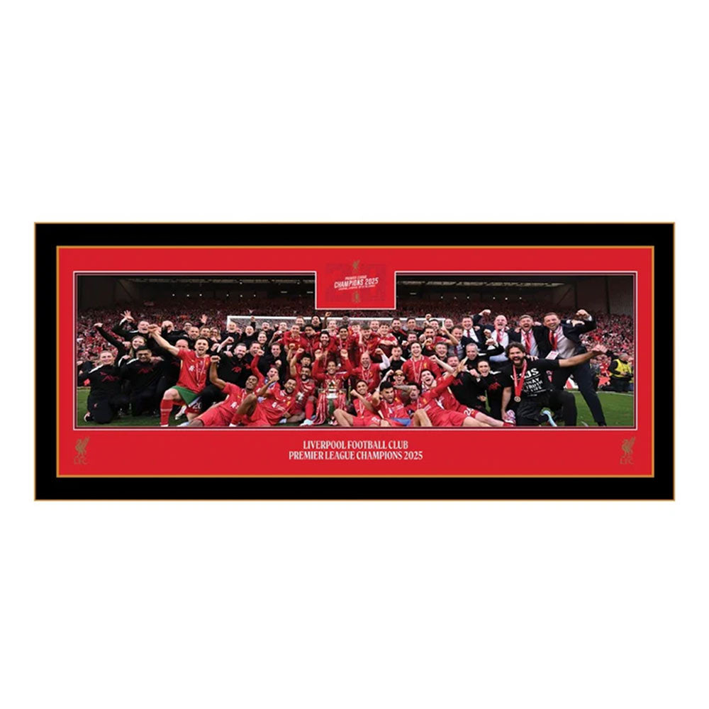 LFC Premier League Trophy Lift 30 Inch Panoramic Framed - Supersports Thailand Supersports Thailand