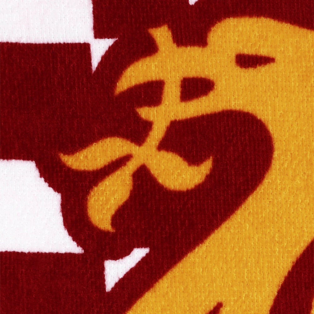 LFC Beach Check Towel