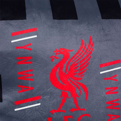 LFC Stadium Cushion