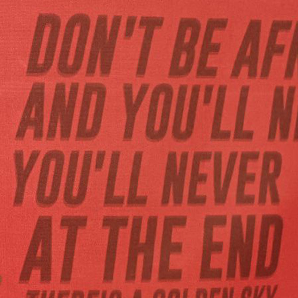 LFC EPL Champions 2024/25 ธง