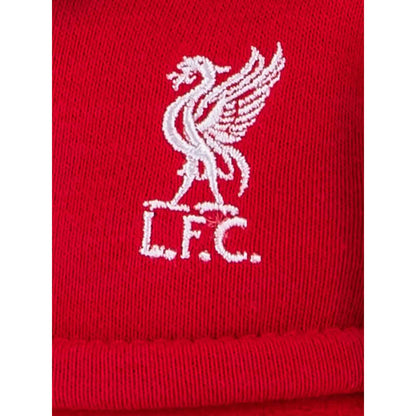 LIVERPOOL FOOTBALL CLUB Virgil Van Dijk Player Plush