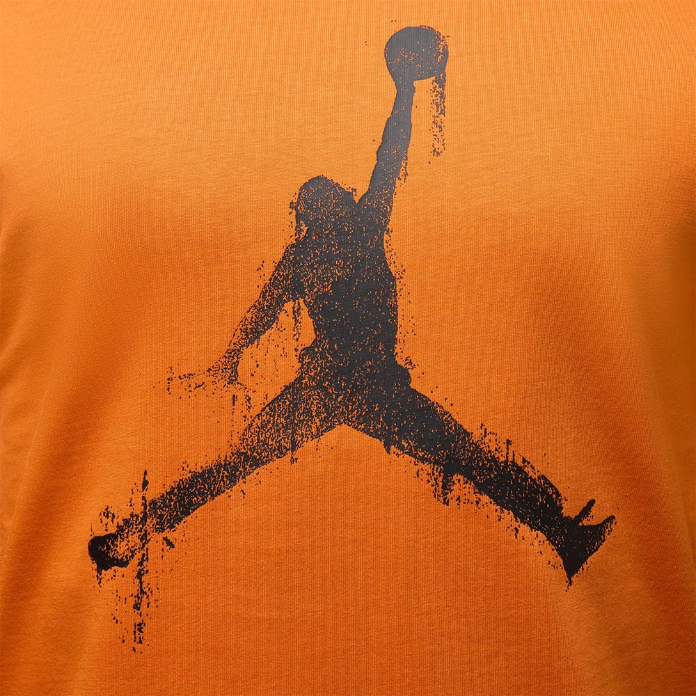 NIKE Jordan Brooklyn เสื้อยืดผู้ชาย
