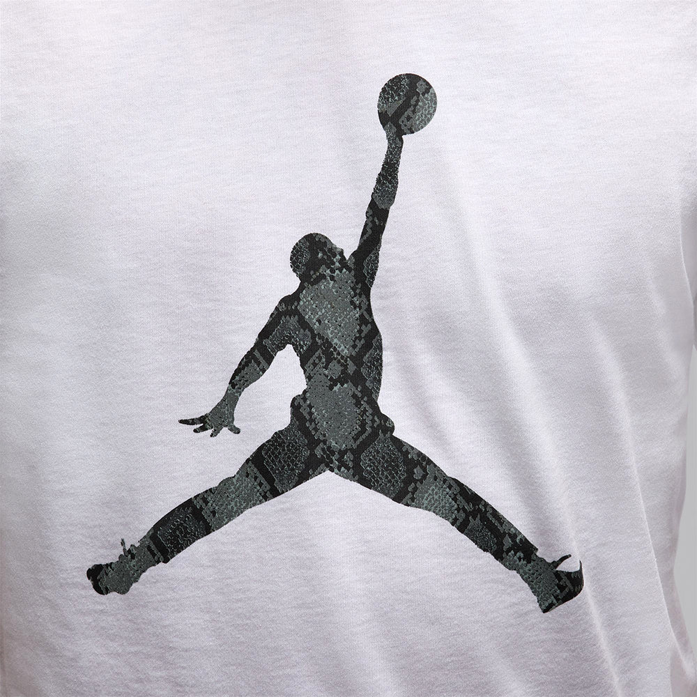 NIKE Jordan Sport Dri-FIT Men's Basketball T-Shirt - Supersports Thailand