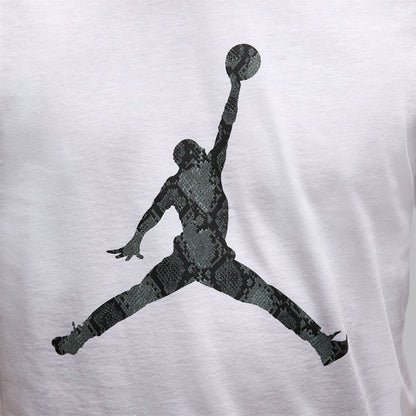 NIKE Jordan Sport Dri-FIT Men's Basketball T-Shirt - Supersports Thailand