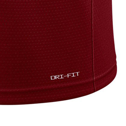 NIKE Men's Cleveland Cavaliers Icon Edition 2022/23 Basketball Jersey