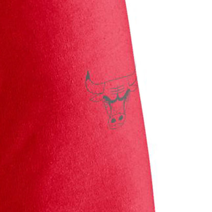 NIKE Chicago Bulls Essential Jordan NBA Men's T-Shirt