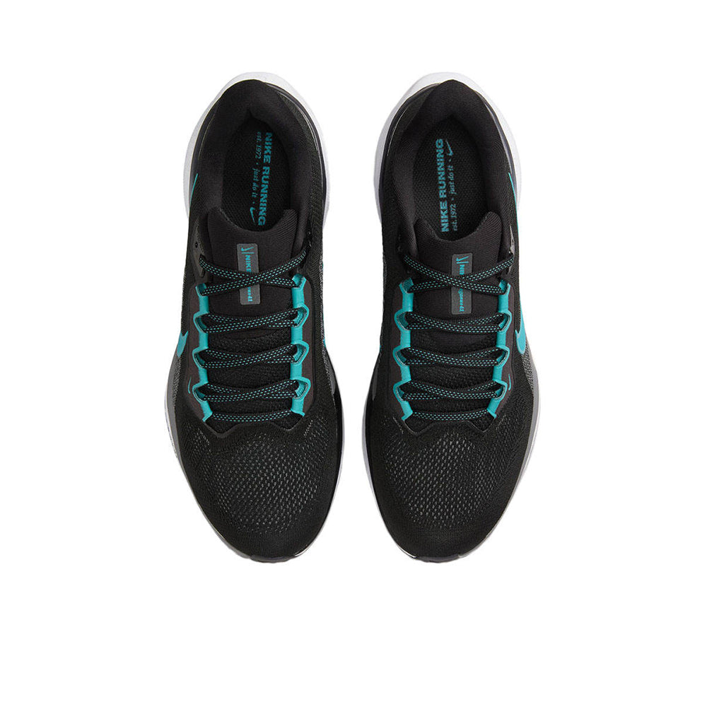 NIKE Pegasus 41 Men's Running Shoes