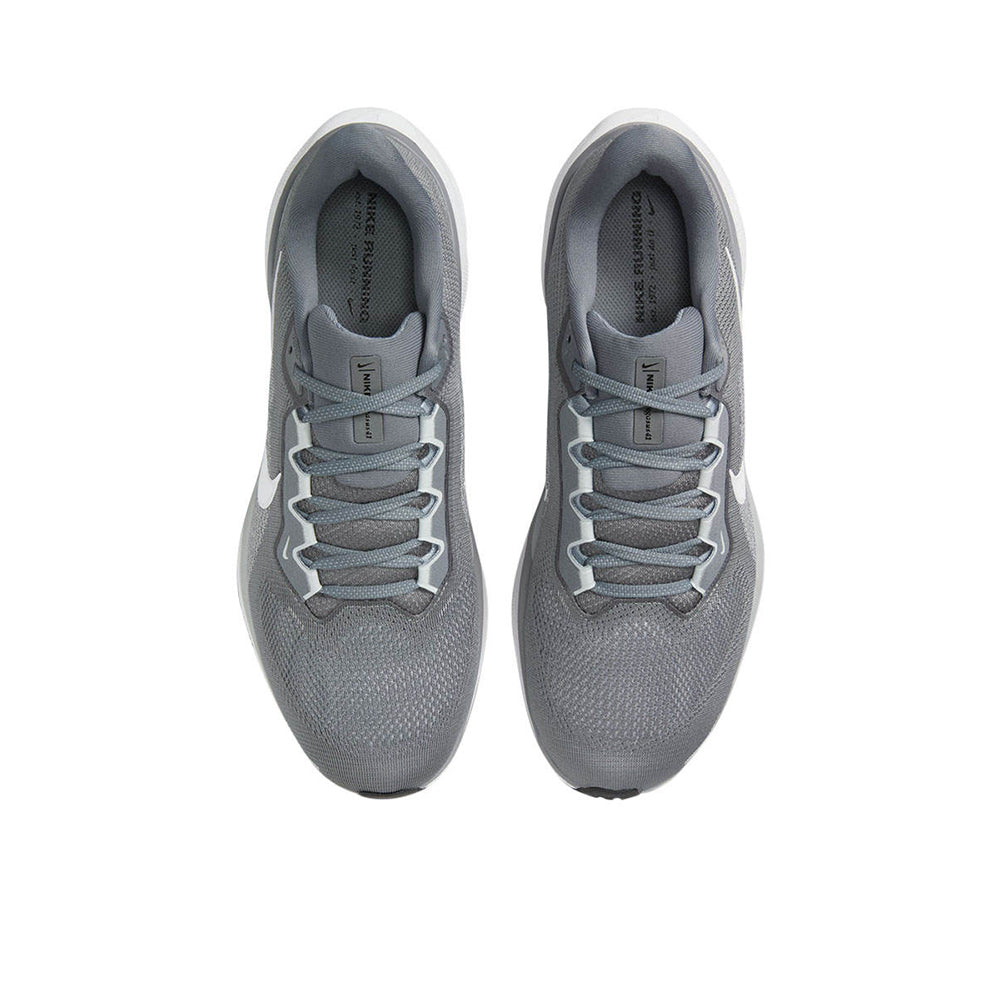 NIKE Pegasus 41 Men's Running Shoes