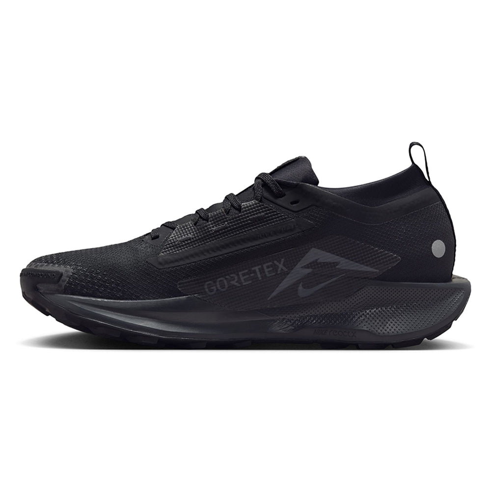 NIKE Pegasus Trail 5 GORE-TEX รองเท้าวิ่งเทรลผู้ชาย
