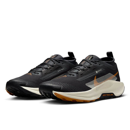 NIKE Pegasus Trail 5 GORE-TEX รองเท้าวิ่งเทรลผู้ชาย