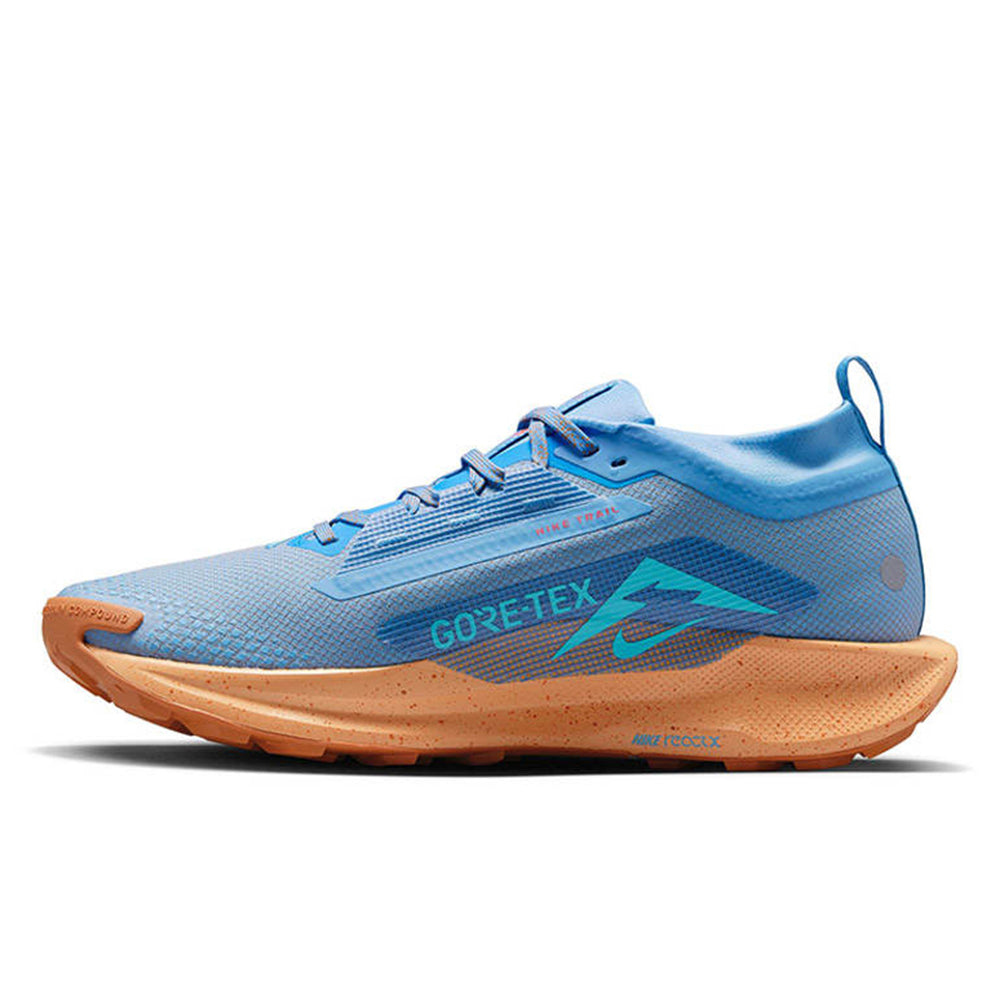 NIKE Pegasus Trail 5 GORE-TEX รองเท้าวิ่งเทรลผู้ชาย