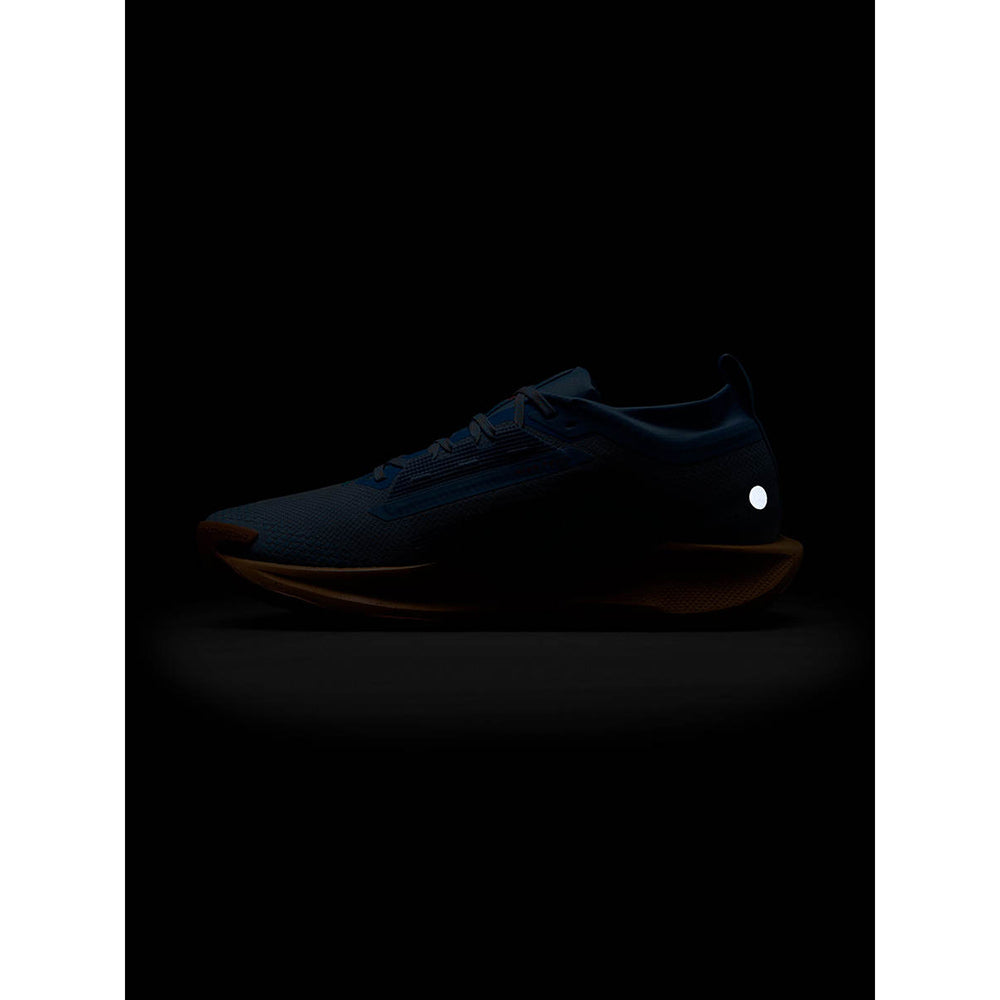 NIKE Pegasus Trail 5 GORE-TEX รองเท้าวิ่งเทรลผู้ชาย