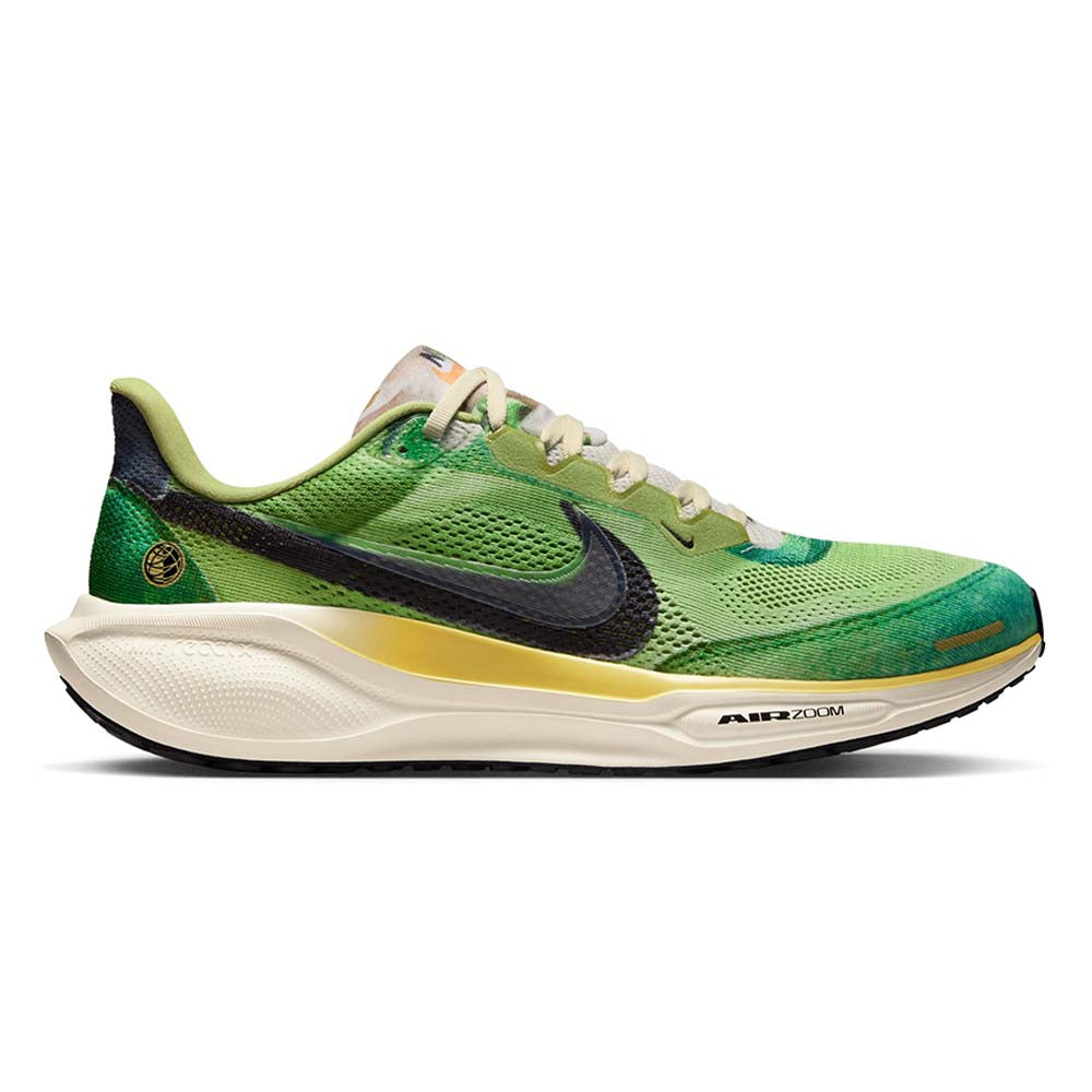 NIKE Pegasus 41 SE Men's Running Shoes