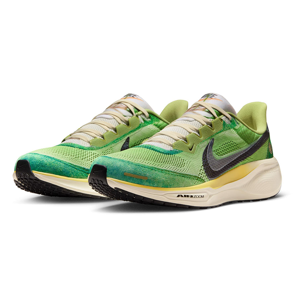NIKE Pegasus 41 SE Men's Running Shoes