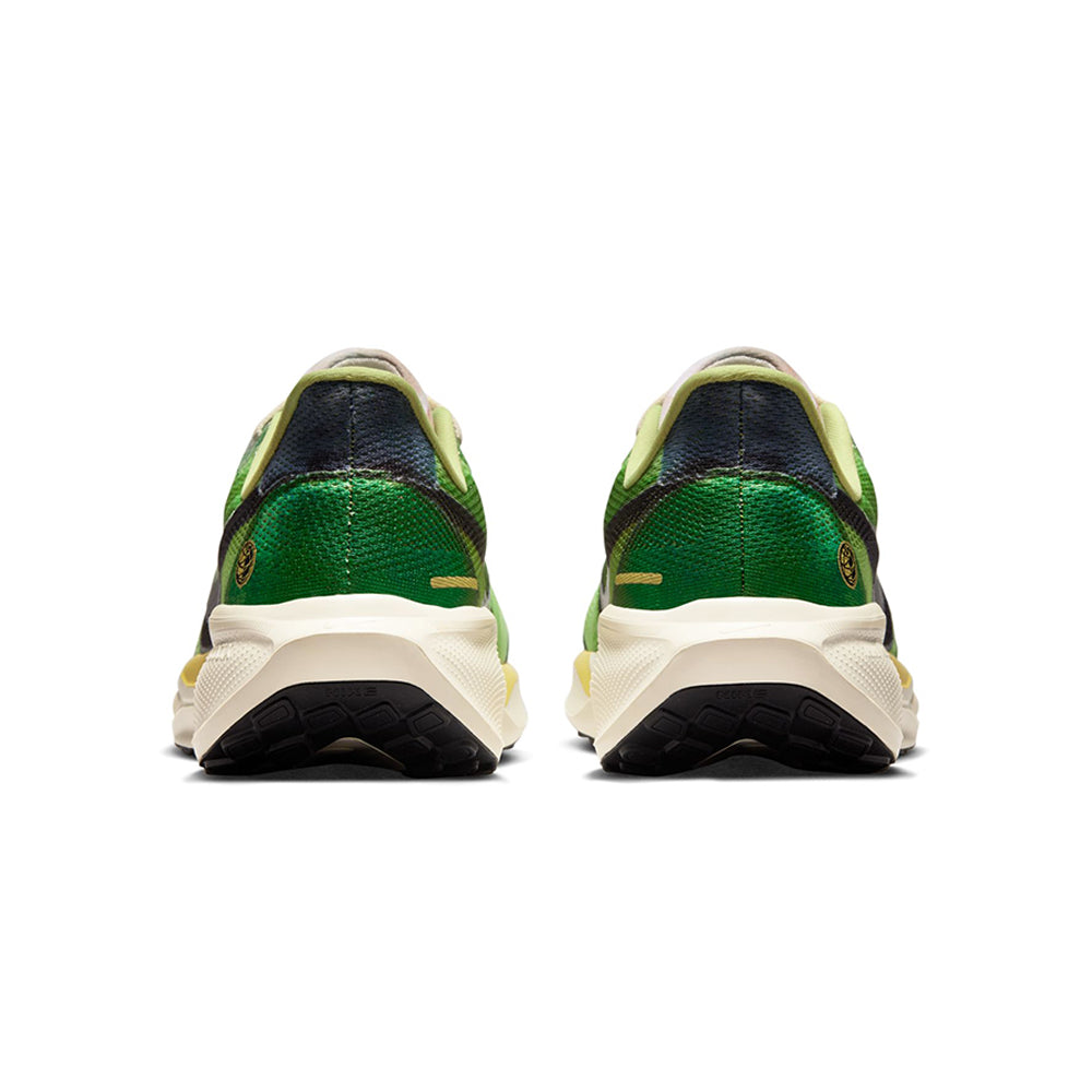 NIKE Pegasus 41 SE Men's Running Shoes