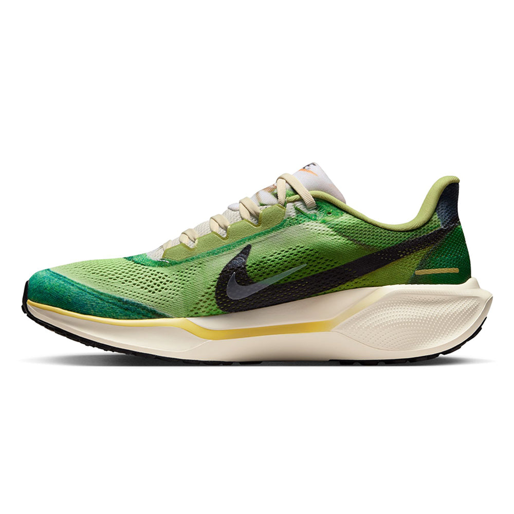 NIKE Pegasus 41 SE Men's Running Shoes