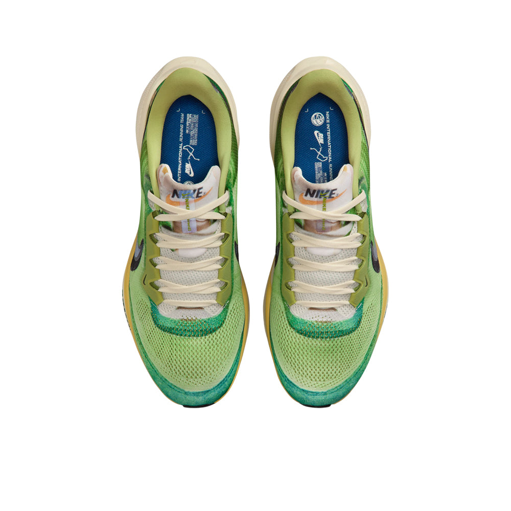 NIKE Pegasus 41 SE Men's Running Shoes