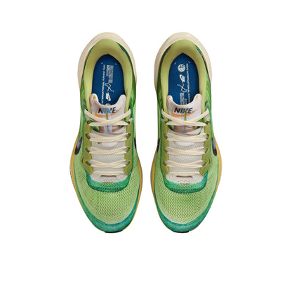 NIKE Pegasus 41 SE Men's Running Shoes