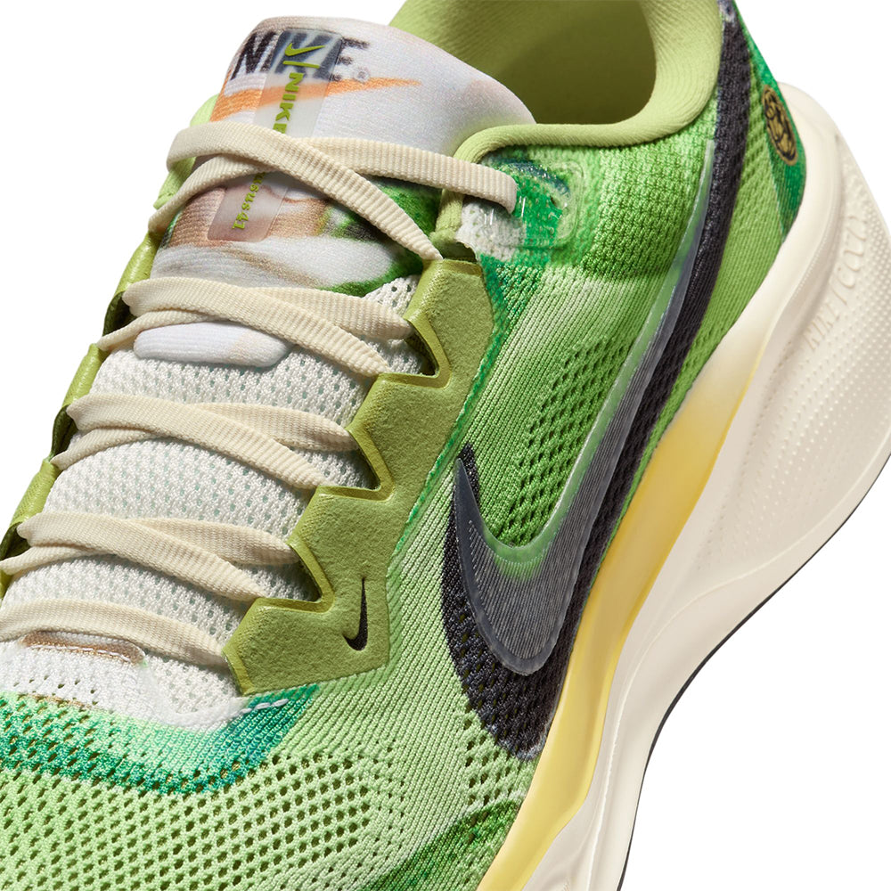 NIKE Pegasus 41 SE Men's Running Shoes