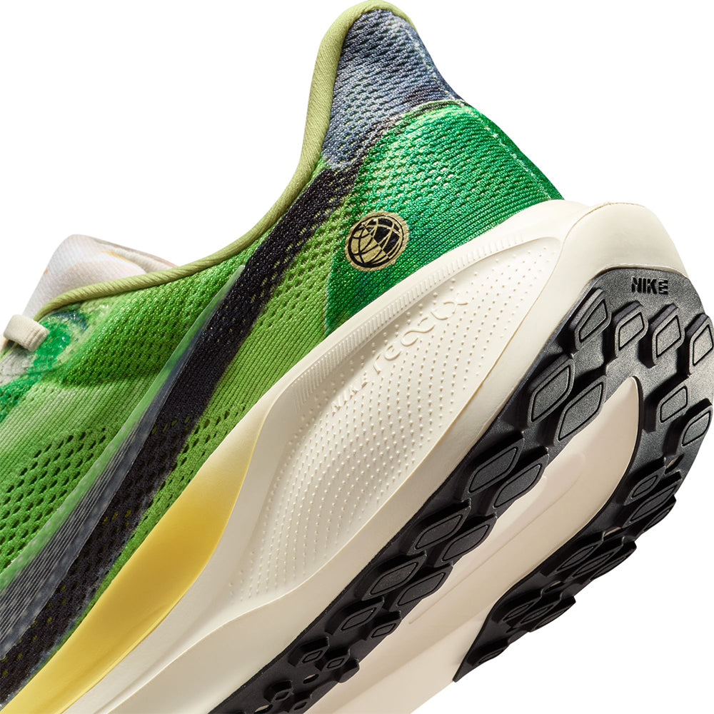 NIKE Pegasus 41 SE Men's Running Shoes
