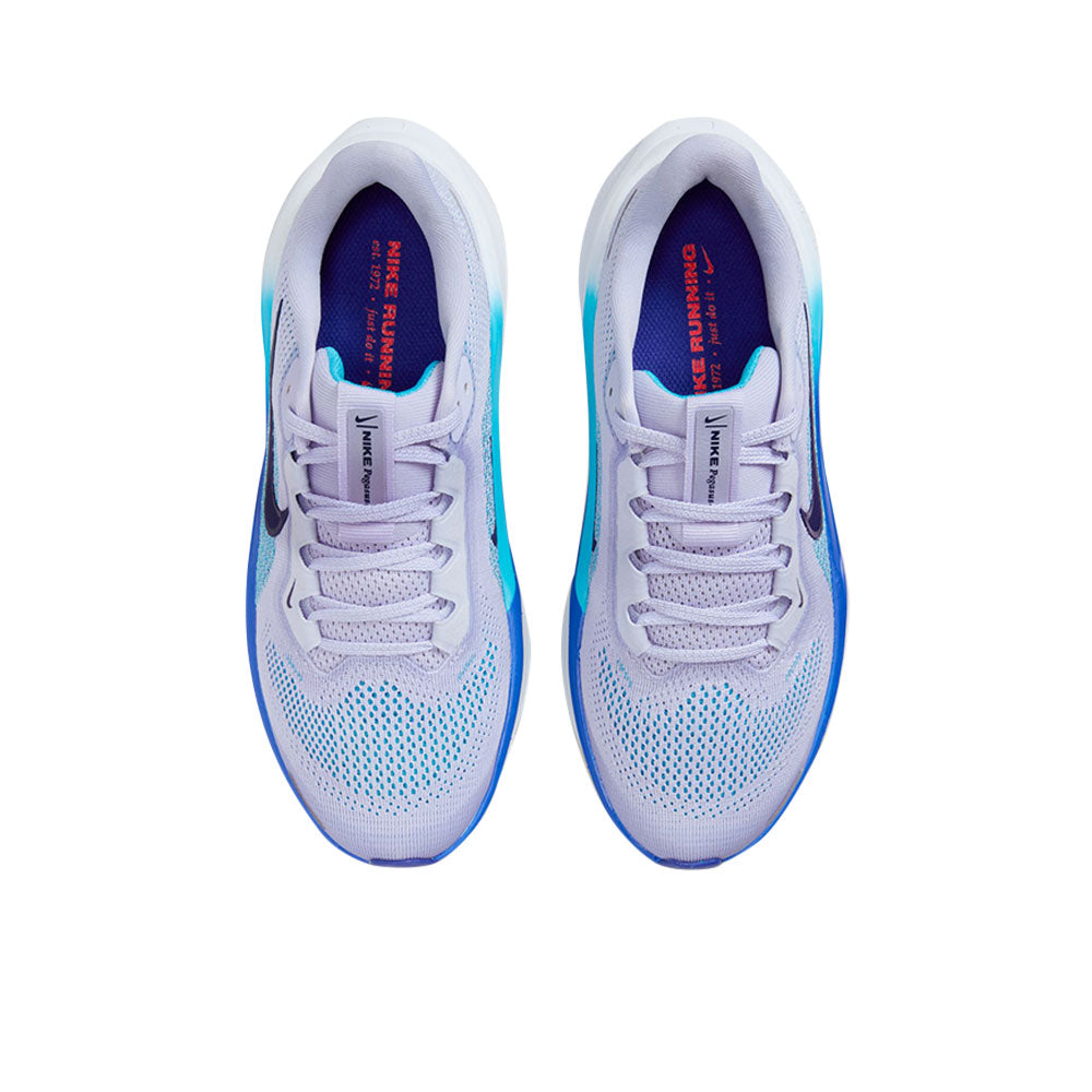 NIKE Pegasus 41 Kids Running Shoes