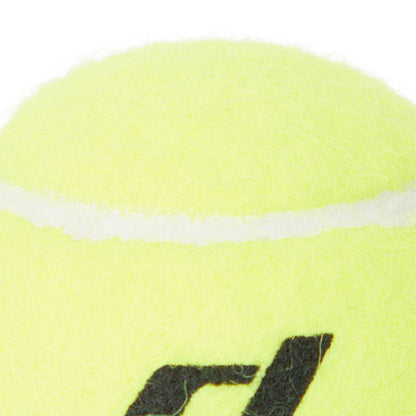 PRO TOUCH Ace Ball Pro Tennis Ball (4 Balls)