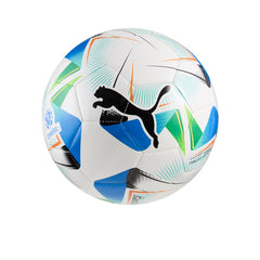 PUMA Cumbre Conmebol Libertadores ลูกฟุตบอล