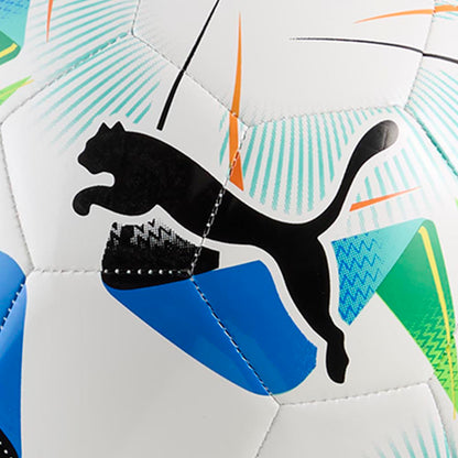 PUMA Cumbre Conmebol Libertadores ลูกฟุตบอล