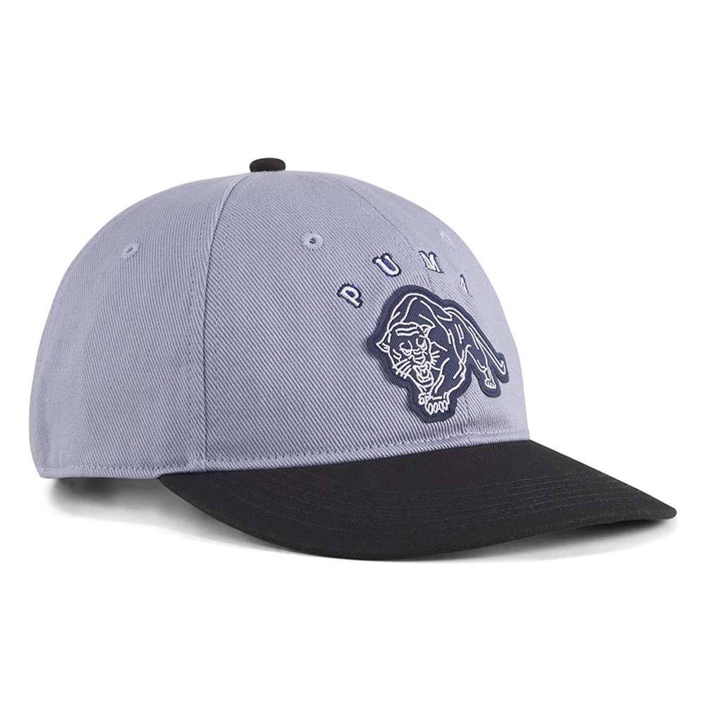 PUMA Vintage Low Curve Unisex Cap - Supersports Thailand