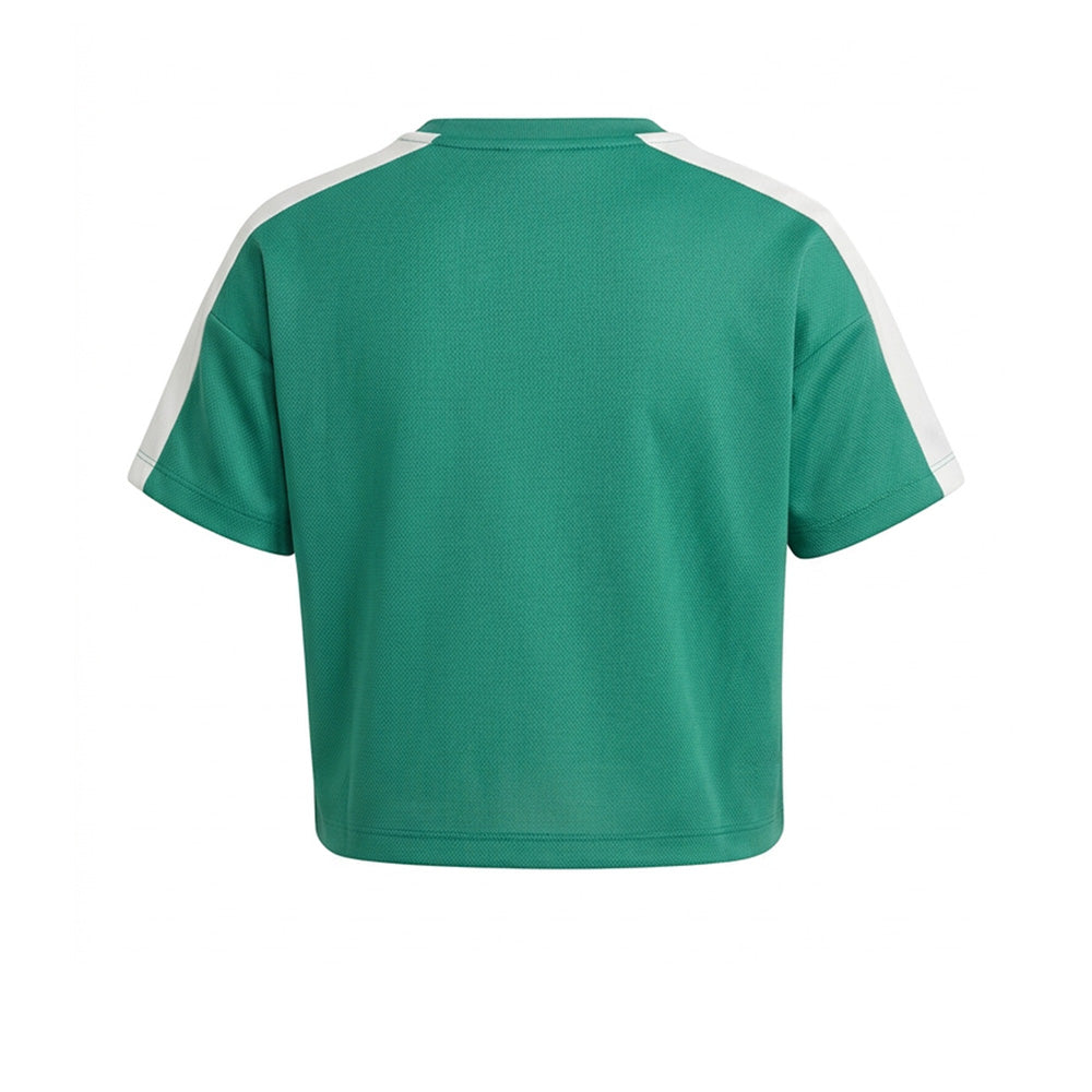 SKECHERS Short Sleeve Boys T-Shirt - Supersports Thailand