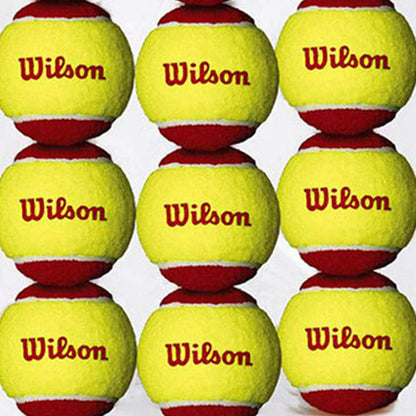 WILSON Starter Red Tennis Ball (12 Pack) - Supersports Thailand