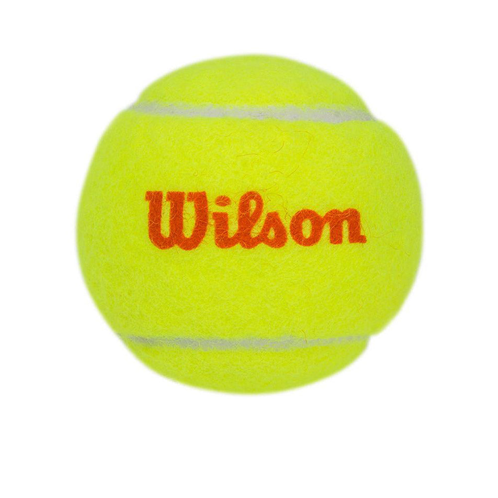 WILSON Starter Kids Tennis Ball (12 Balls) - Supersports Thailand