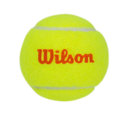 WILSON Starter Kids Tennis Ball (12 Balls) - Supersports Thailand