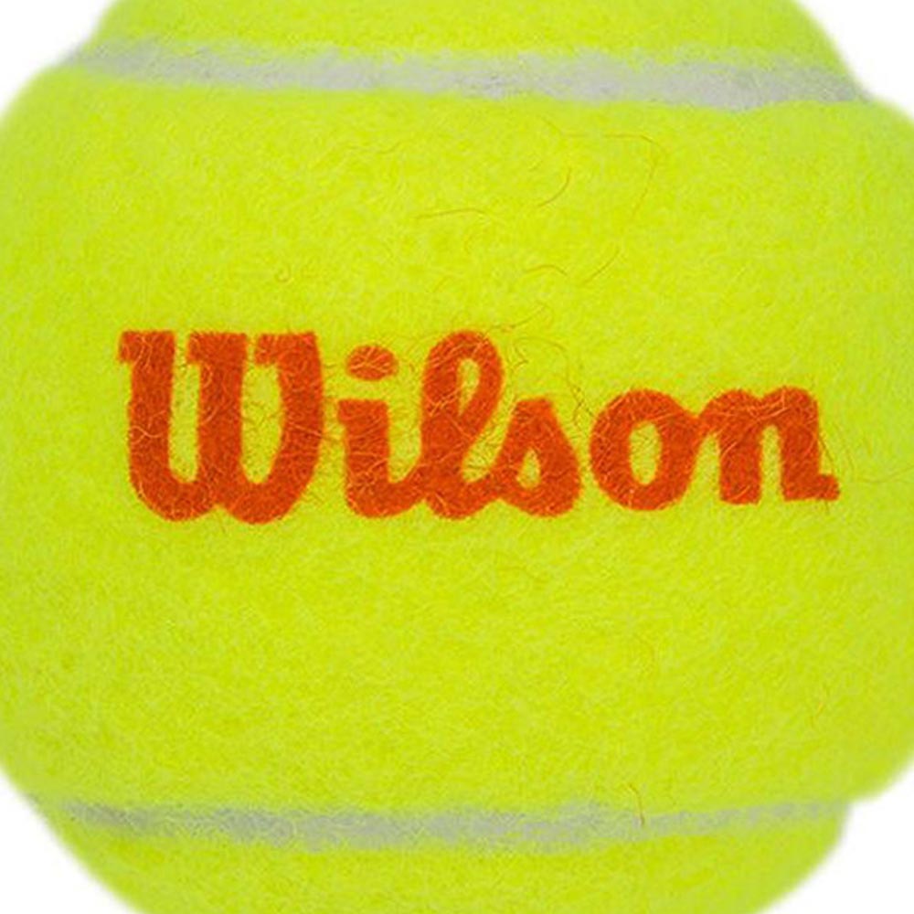 WILSON Starter Kids Tennis Ball (12 Balls) - Supersports Thailand