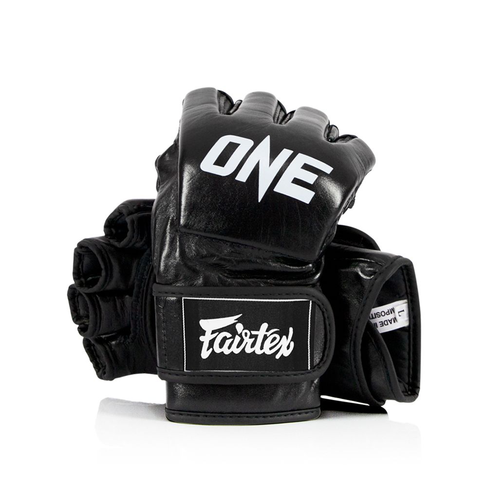 fairtex-fgv12-one--website-01.jpg