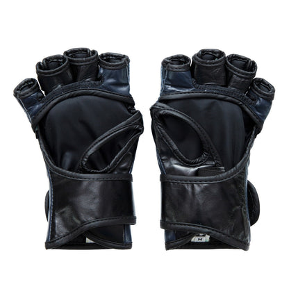 fgv12_blue_2_1_1.jpg