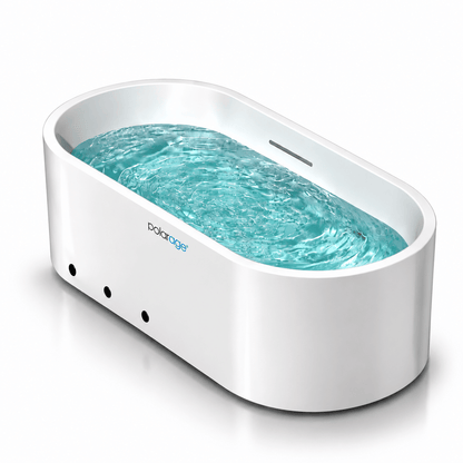 seller%2F1396%2Fproduct%2Fcover_img-1789960691796-94562019-e83b-41d3-a0c3-3ade20f9be48.png